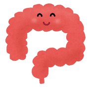 大腸のイラスト